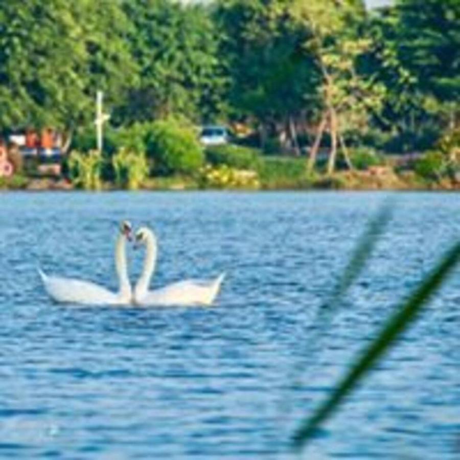 Sue Homestay Ecopark Hung Yen Eksteriør bilde